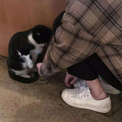 访华第三天，卡尼情绪爆发，当着中方的面